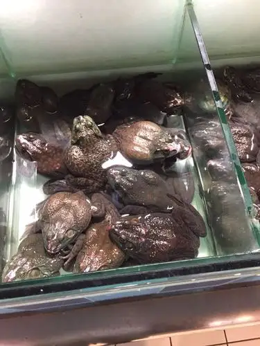 超市里牛蛙为啥不会跳出来啊?