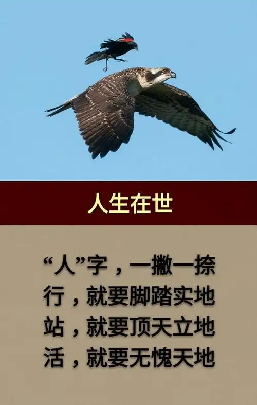 行,就脚踏实地;站,就顶天立地;活,就无愧天地