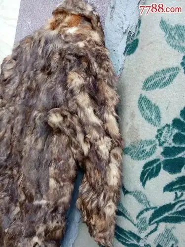 老狗皮大衣