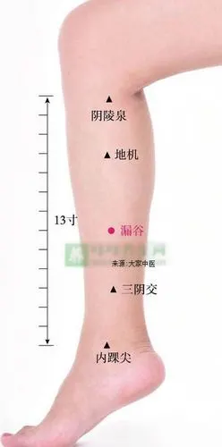 标准定位:漏谷在小腿内侧,当内踝尖与阴陵泉的连线上,距内踝尖6寸