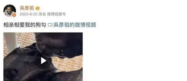 吴彦祖发微博痛批亚裔芭比"太刻板"!网友惊:阿祖你被盗号了?