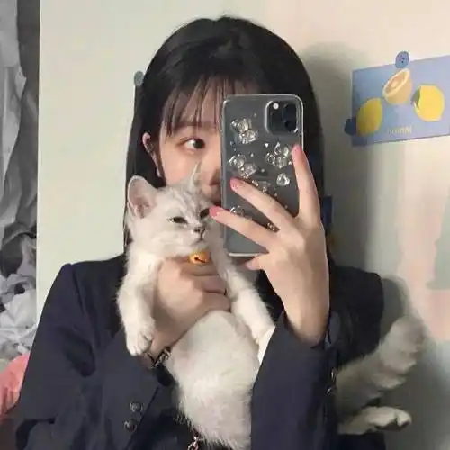 3237303734"对镜自拍手机挡脸气质头像_自用_来自_网络