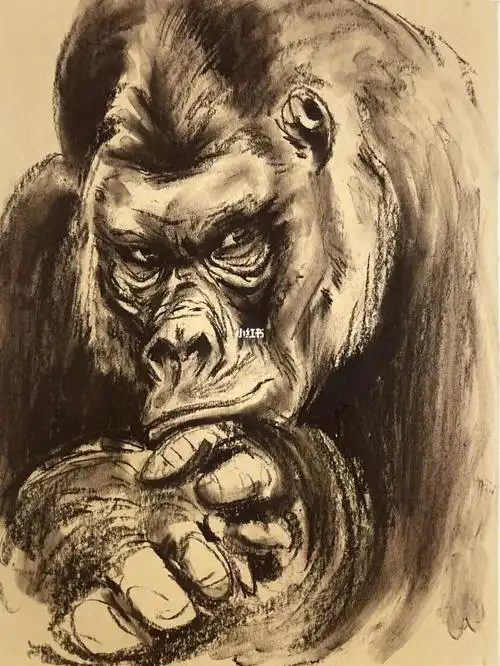 画画的日常  #速写  #素描  #寻找小红书绘画大神  #大猩猩