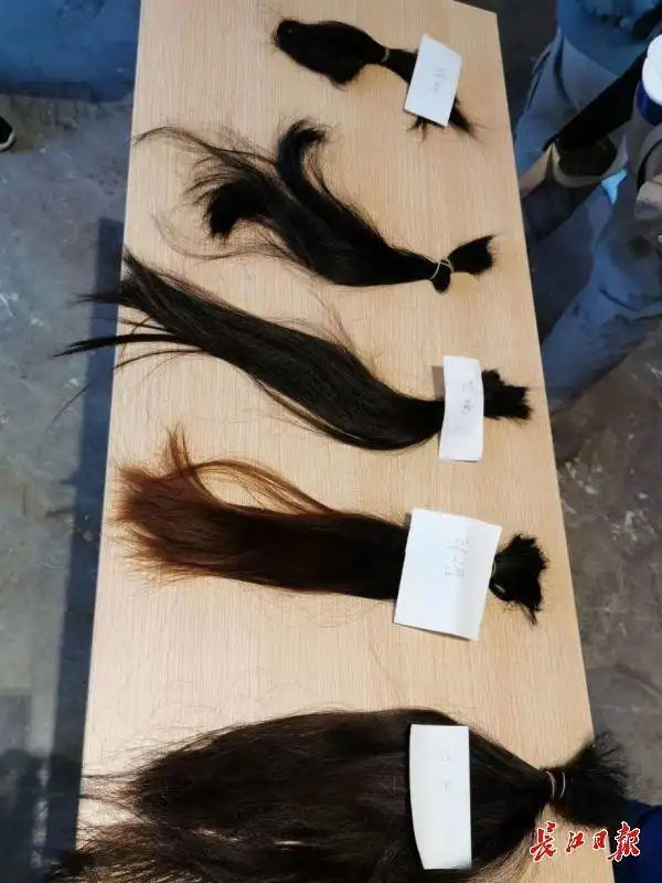 (图为姑娘们剪下的长发 刘明利供图)