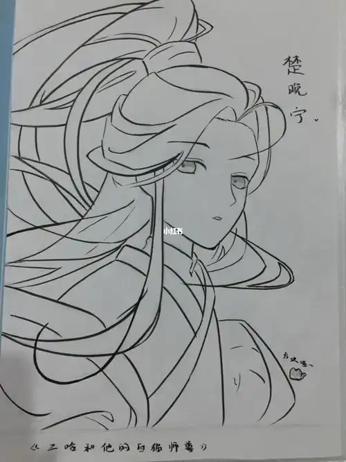 康康我画的楚晚宁