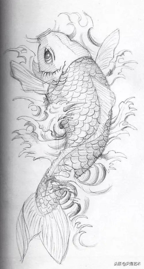一波线描锦鲤来袭,祝看见的你好运连连_绘画