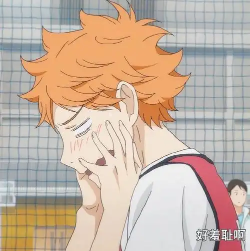 排球少年#日向翔阳头像