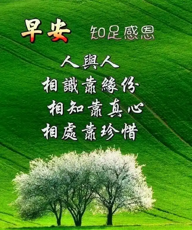 轻轻的问候,道声早安,愿熟睡一晚的你,伴着清晨清香的空气,开 - 抖音