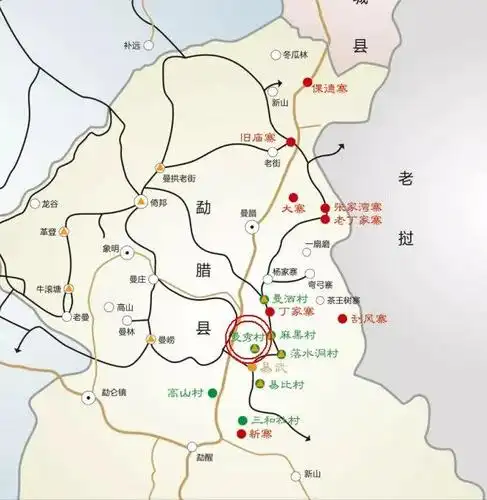 蒙!2019勐腊易武斗茶大会金奖出炉,新科冠军曼秀!