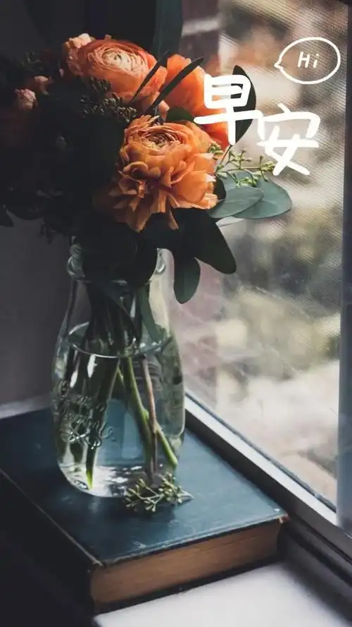 早安正能量句子语录早上好问候图片