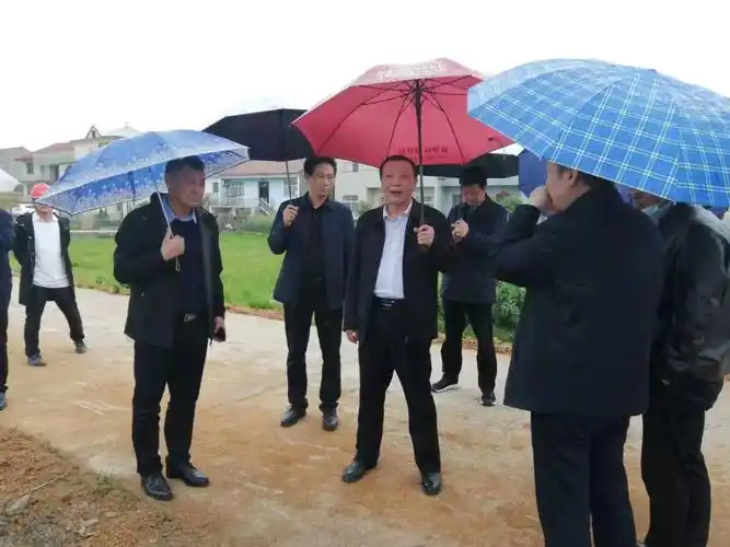 重要资讯省农业农村厅副厅级领导李胜强来我镇督促指导粮食丰收工作