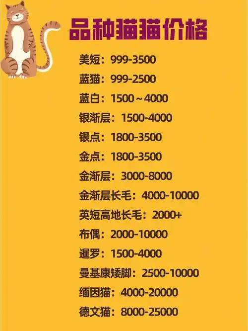 成都猫舍自家繁育猫猫价格