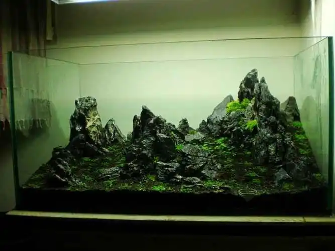 90cm青龙石草缸群山造景图片欣赏