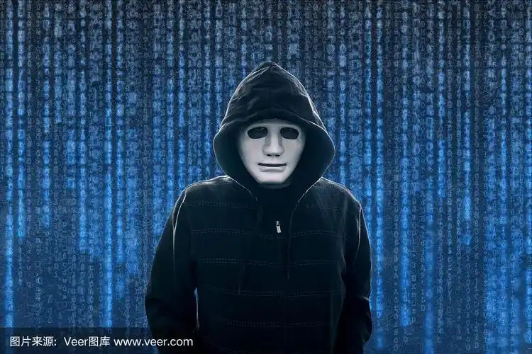 戴着白色面罩的电脑黑客