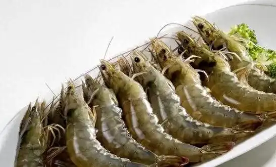 我不阻止你给孩子吃虾但这种最好别再买了很多不知道还在买