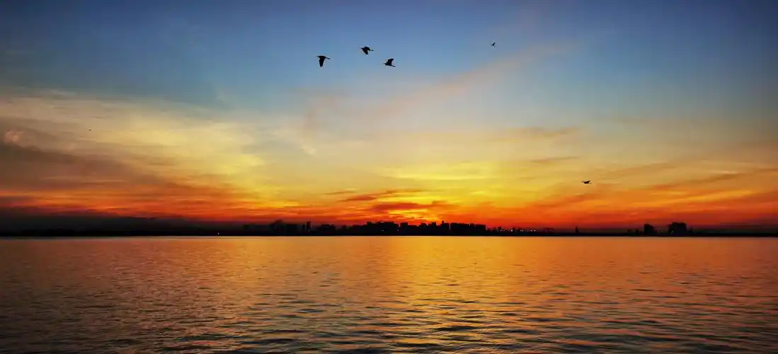 【超感知影像】p40pro 拍海上朝霞