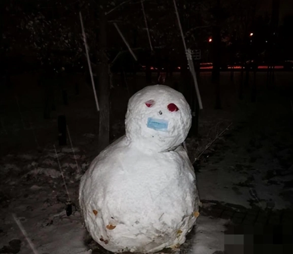 故事东北肢体雪人案四名女学生尸体被拼成雪人背后真相惨烈