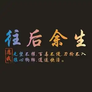 汽车车贴往后余生