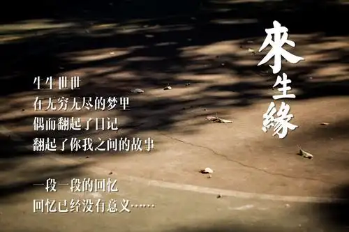 无缘到老 来生缘