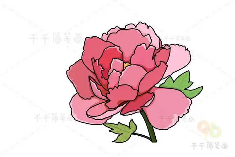 花简笔画图片大全简笔画简笔画花花朵简笔画花的简笔画各种花的简笔画