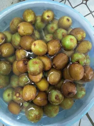 野杨桃可以泡酒吗?