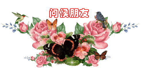 快乐心情送给你愿朋友开心快乐每一天