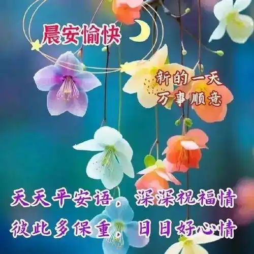 精选暖心的早上好问候语愿牵挂的人平安幸福