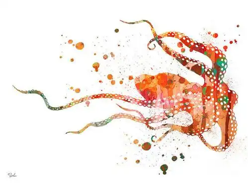 水彩画的水彩画 - 章鱼2
