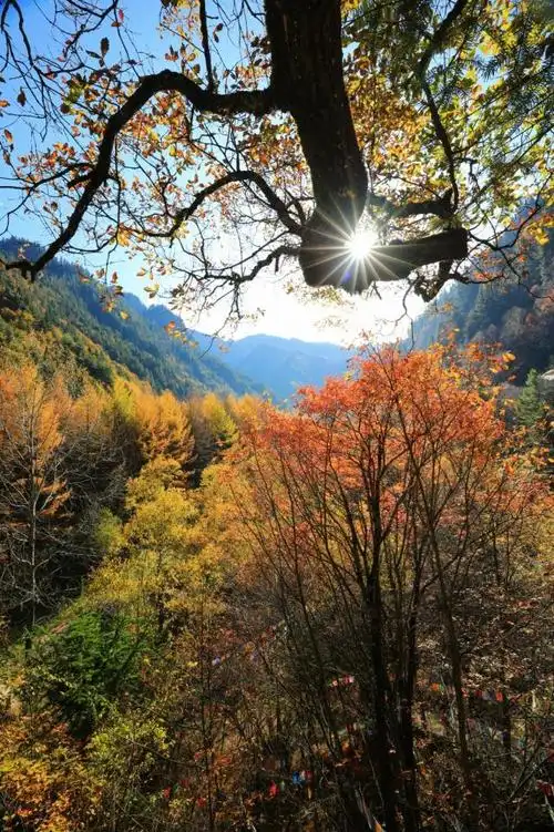 风光摄影:大山里寻秋