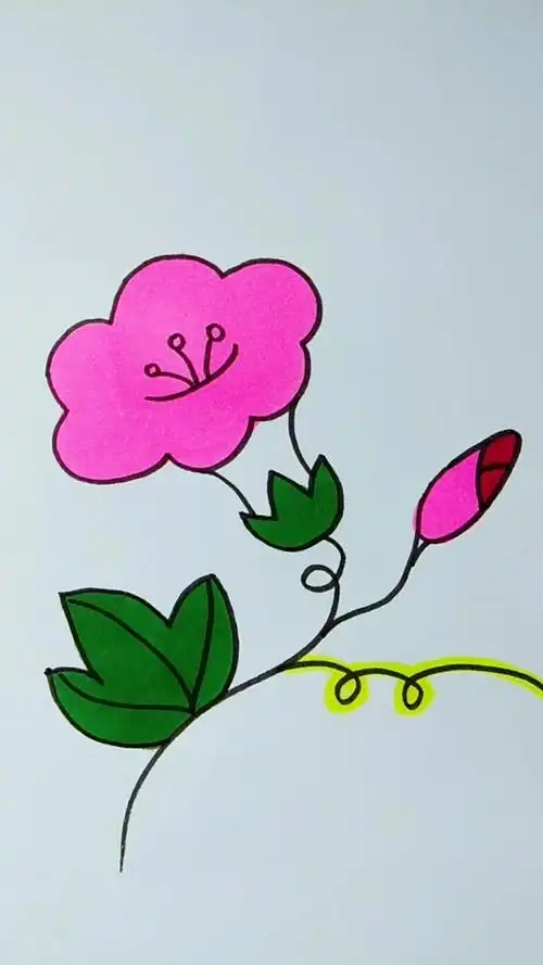 简笔画#牵牛花简笔画