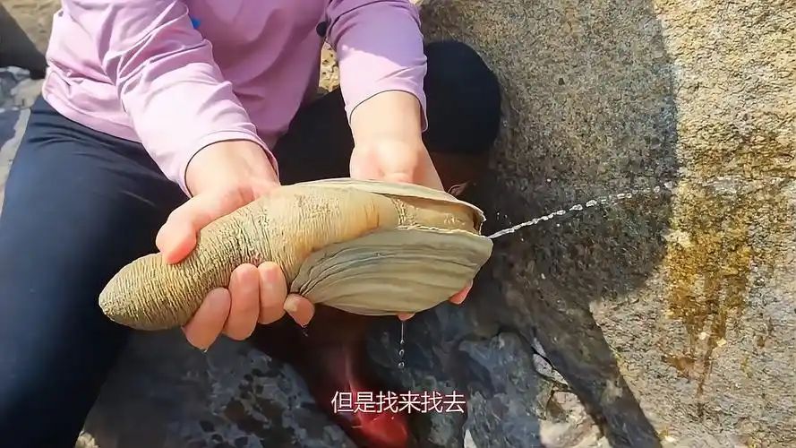 村大姐捞蚌吃开壳一掏懵了内里价值2万路过土豪来包圆