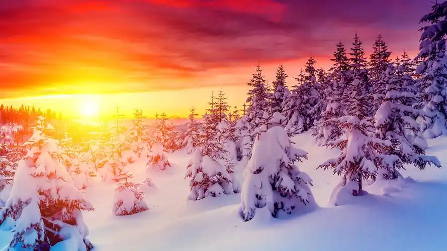 唯美雪景雪地桌面壁纸1280x800分辨率查看 (3/8)