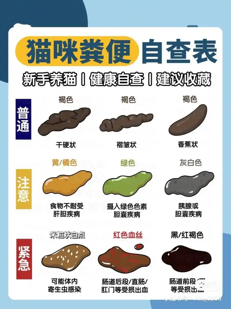 猫咪突然软便怎么办?