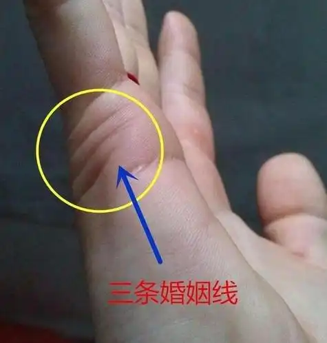 左手婚姻线怎么看几段姻缘