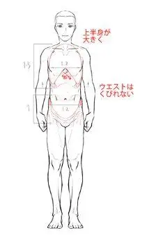 只会画女生不会画男生?教你动漫男女生画法差异!|腰围_网易订阅