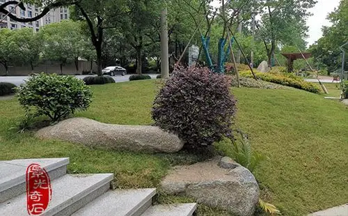 景观设计都离不开石头,怎么摆放出效果真的很重要.