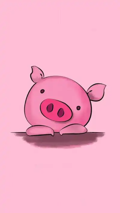 精致猪猪壁纸