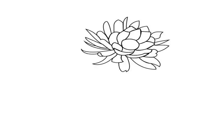 昙花简笔画昙花简笔画怎么画