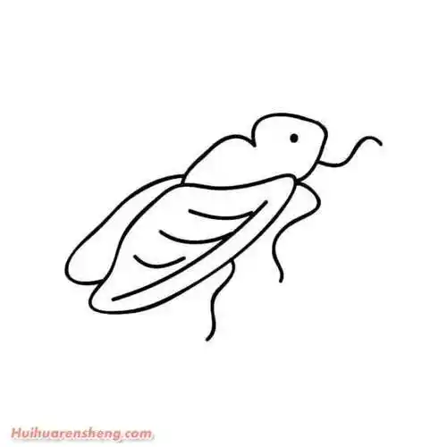 蝉的简笔画画法