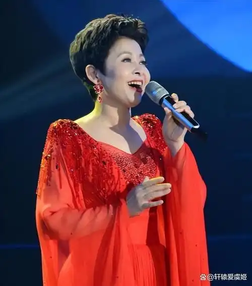 而董文华,这位在90年代末走红的歌手,也经历了一段波澜壮阔的人生旅程