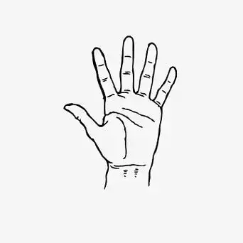 手指只素材_手指只图片元素-觅元素