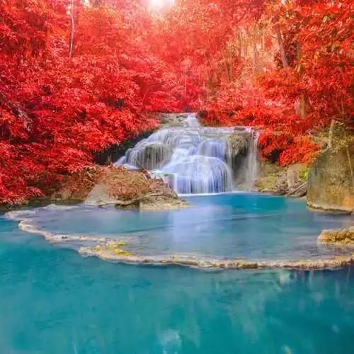 微信最吉利的好看头像风水好聚财转运的最吉利头像图片