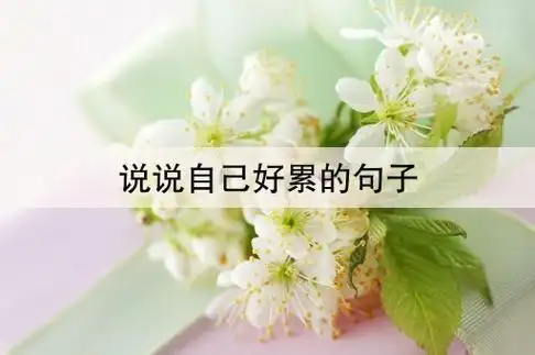 说说自己好累的句子(形容自己很累很疲惫的句子有哪些)