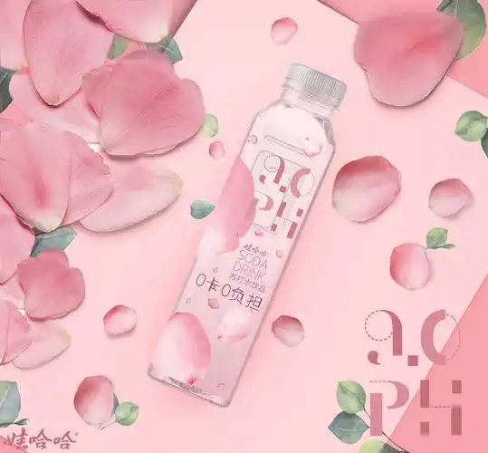 娃哈哈ph90苏打水