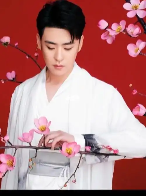 古风少年张云雷