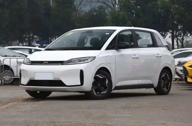 滴滴定制车(比亚迪d1滴滴首款定制车型)