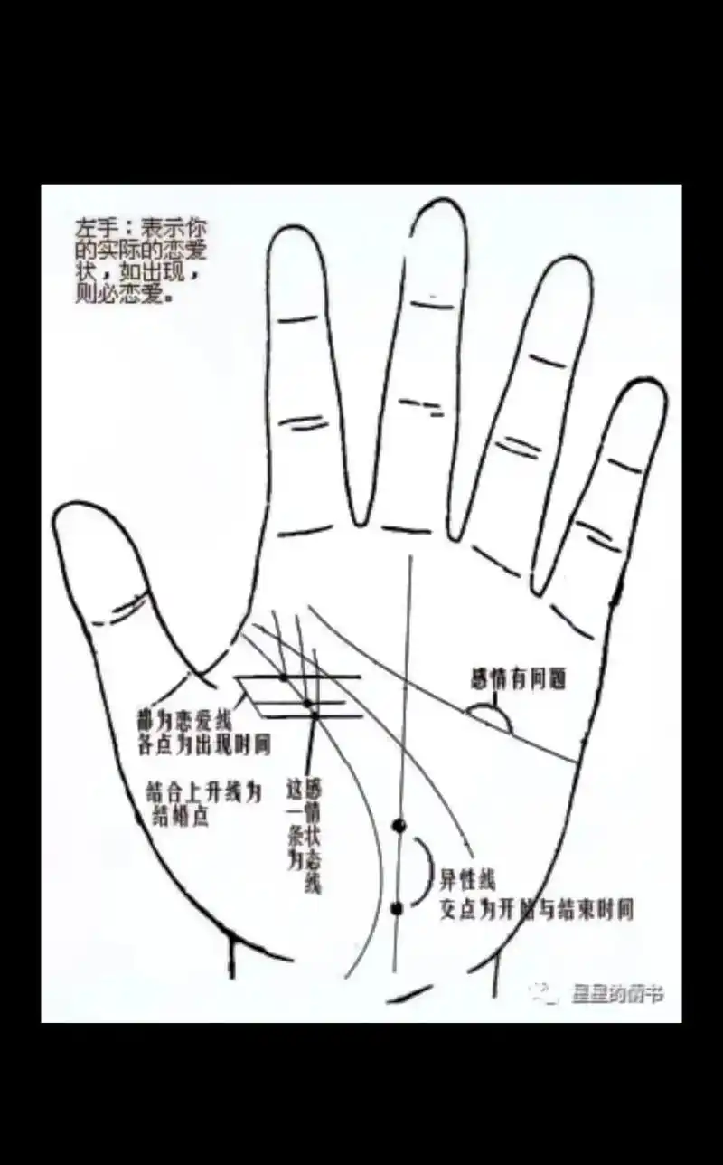 相信科学拒绝迷信 #掌纹的秘密 #命理八字 #你是哪种手型 - 抖音
