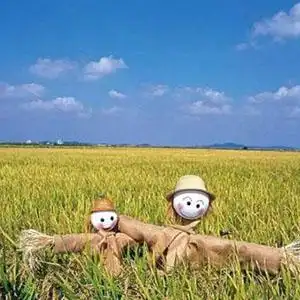 秋收钢琴谱_声乐正谱_e调_高考声乐钢琴伴奏谱五线谱正谱_钢琴谱|钢琴