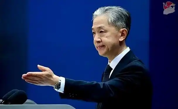 汪文斌 资料图 图源:外交部网站