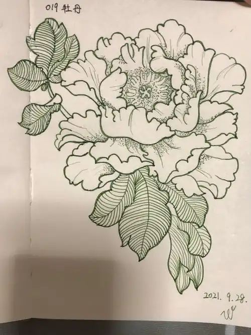 一笔一世界019牡丹